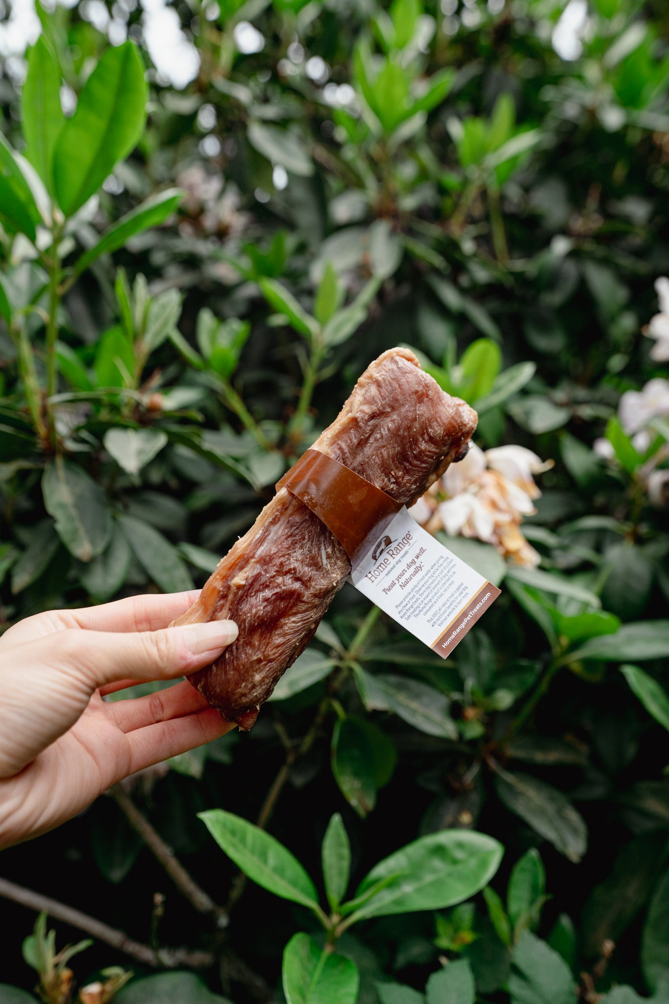 BEEF SKIRT STEAK BAR | Home Range