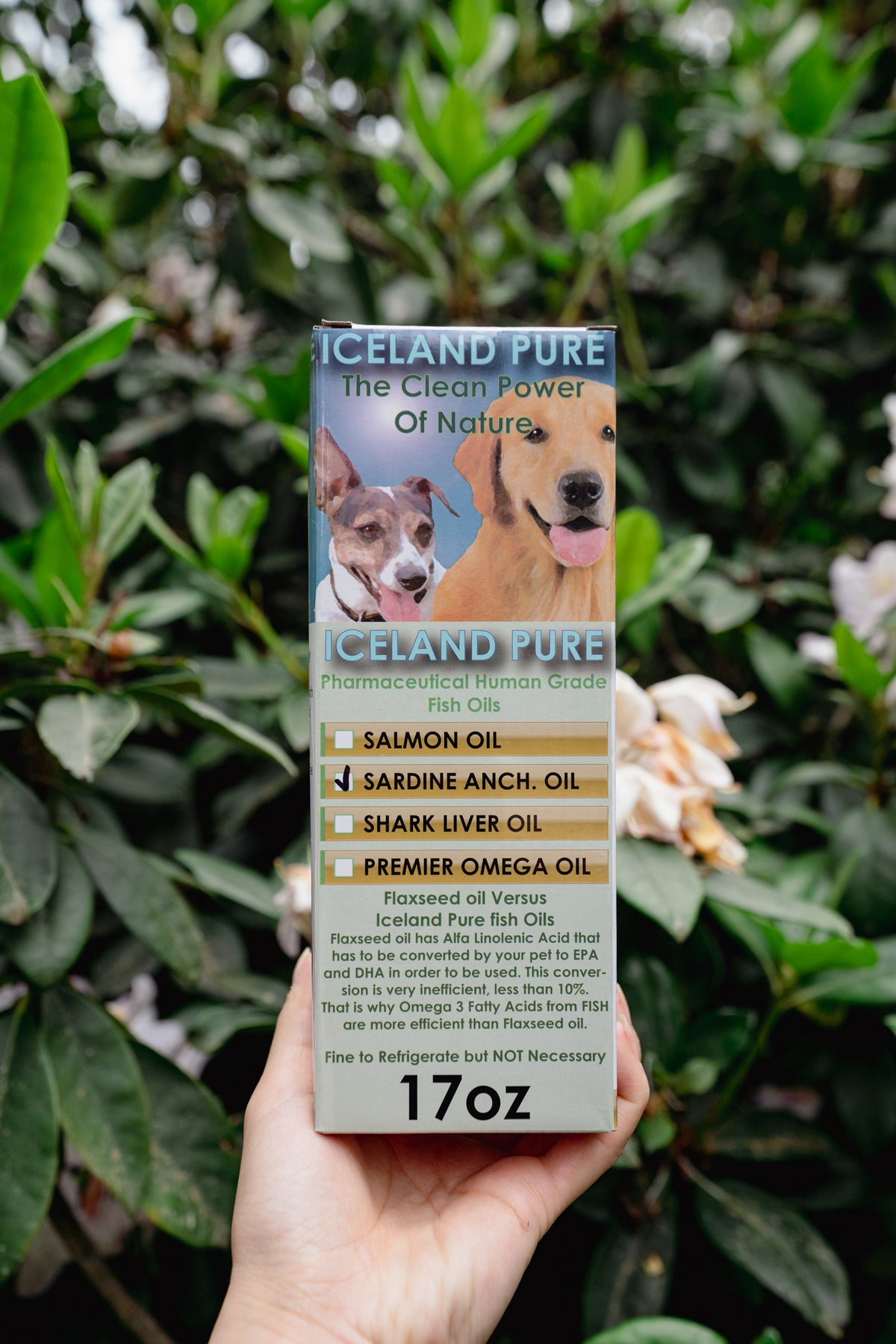 SARDINE ANCHOVY OIL | Iceland Pure