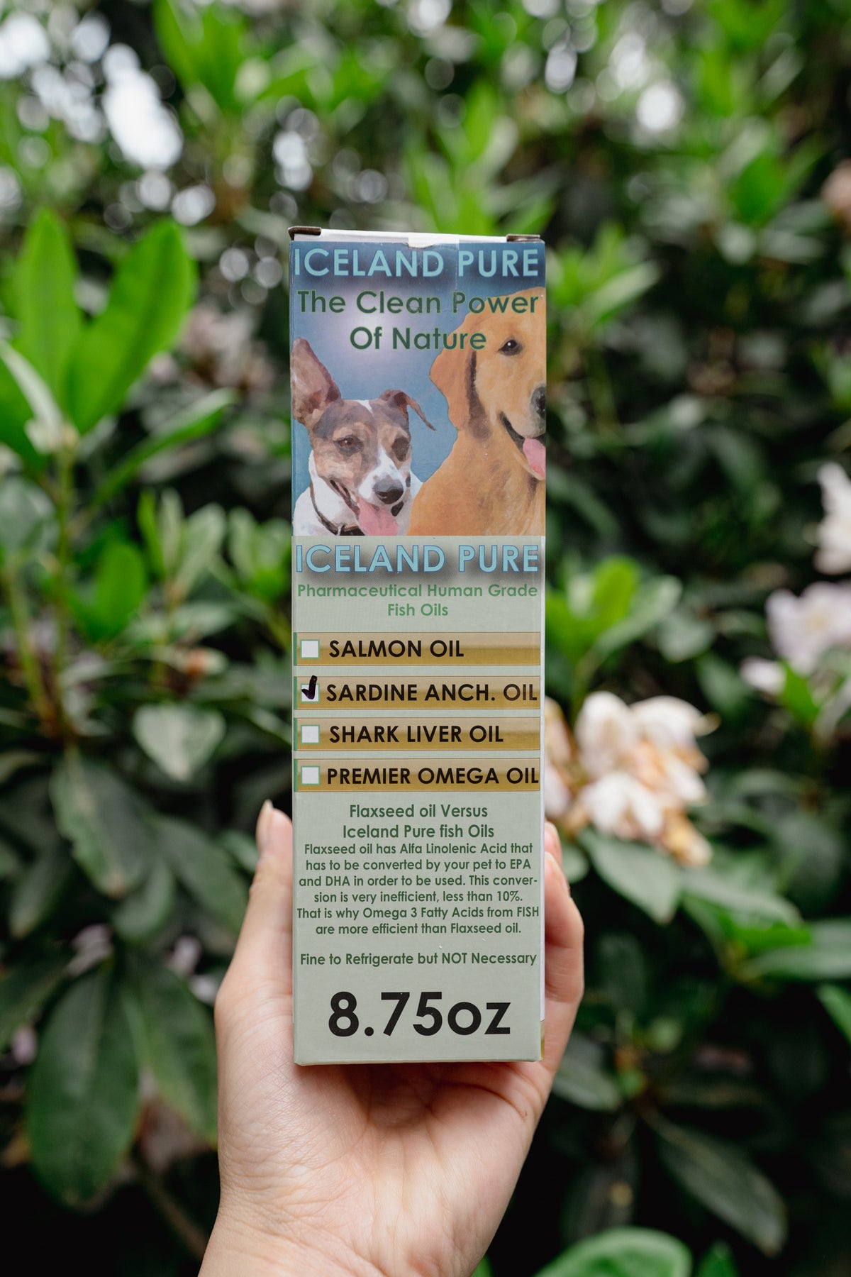 SARDINE ANCHOVY OIL | Iceland Pure
