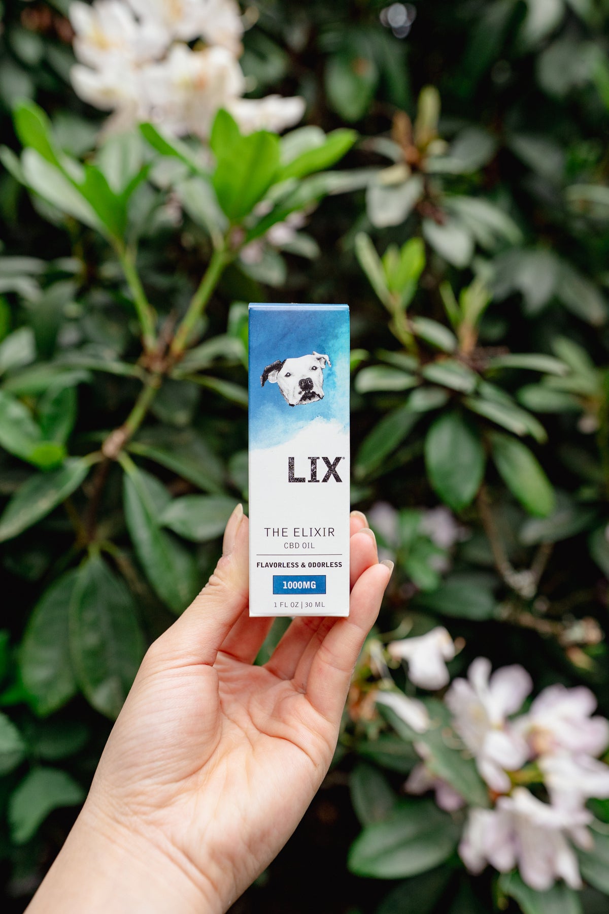 CBD ELIXIR | LIX