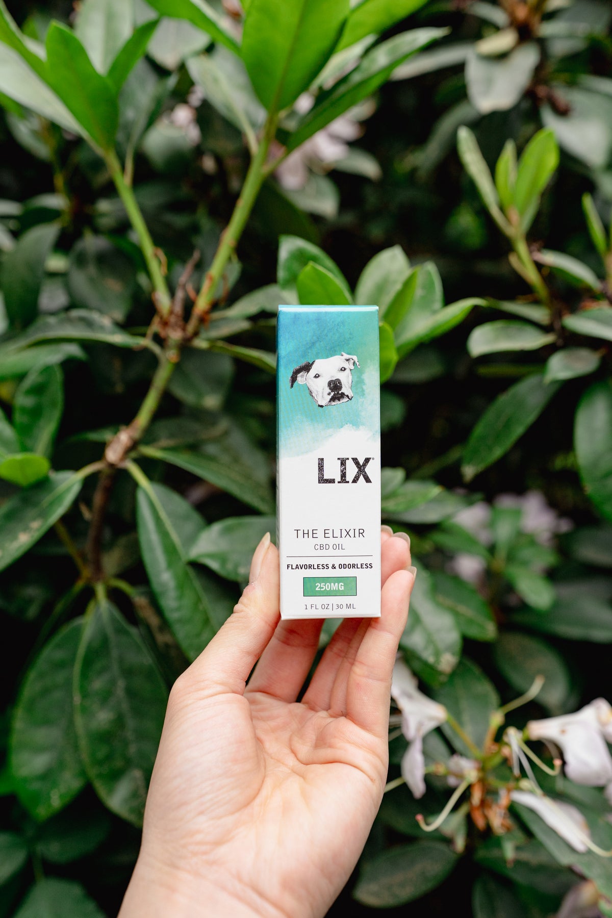 CBD ELIXIR | LIX