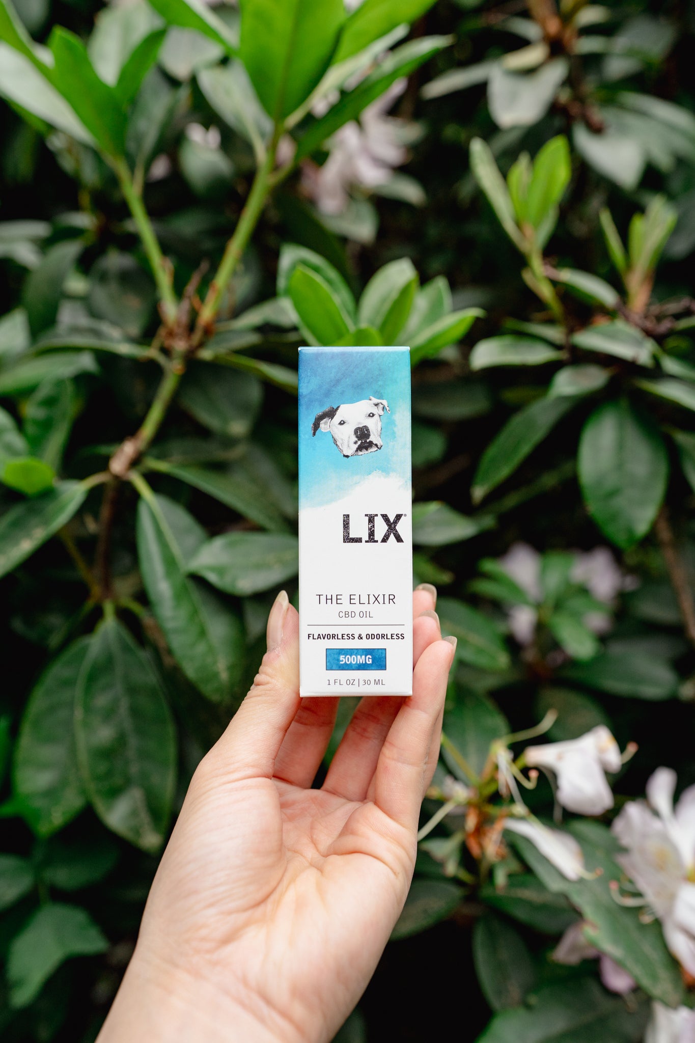 CBD ELIXIR | LIX