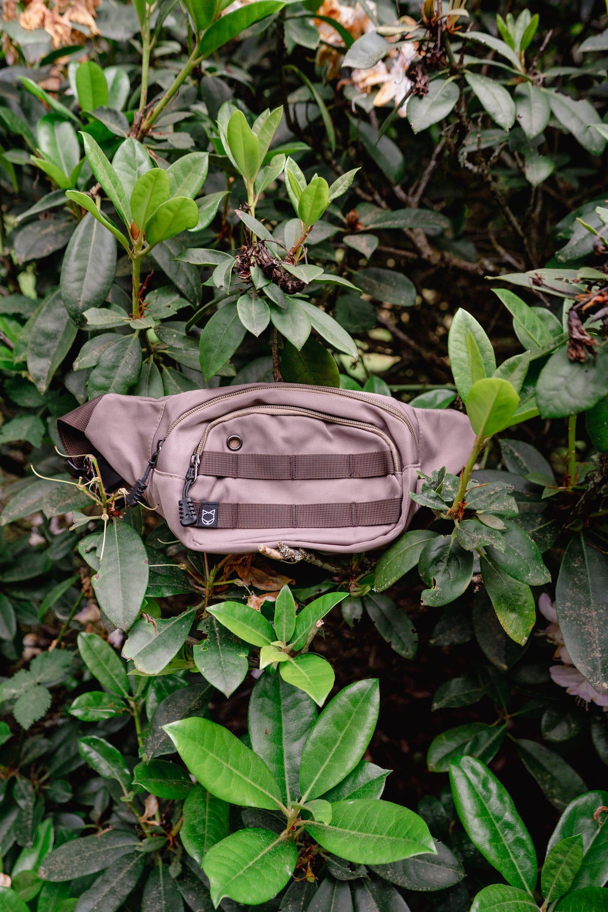 ADVENTURE PACK | Litto Howler