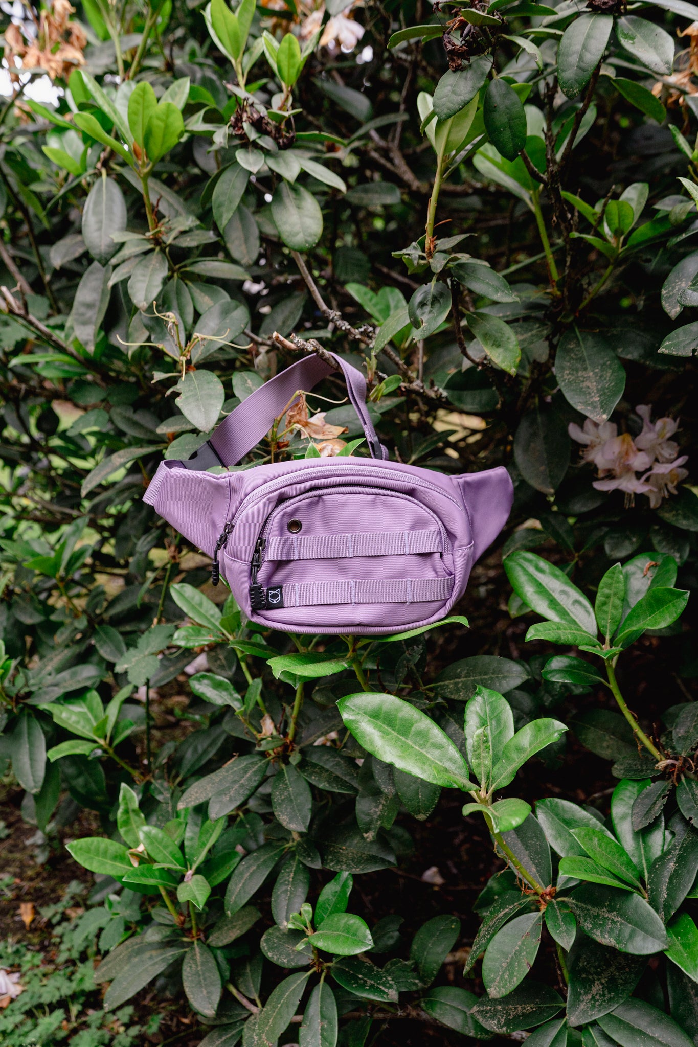 ADVENTURE PACK | Litto Howler
