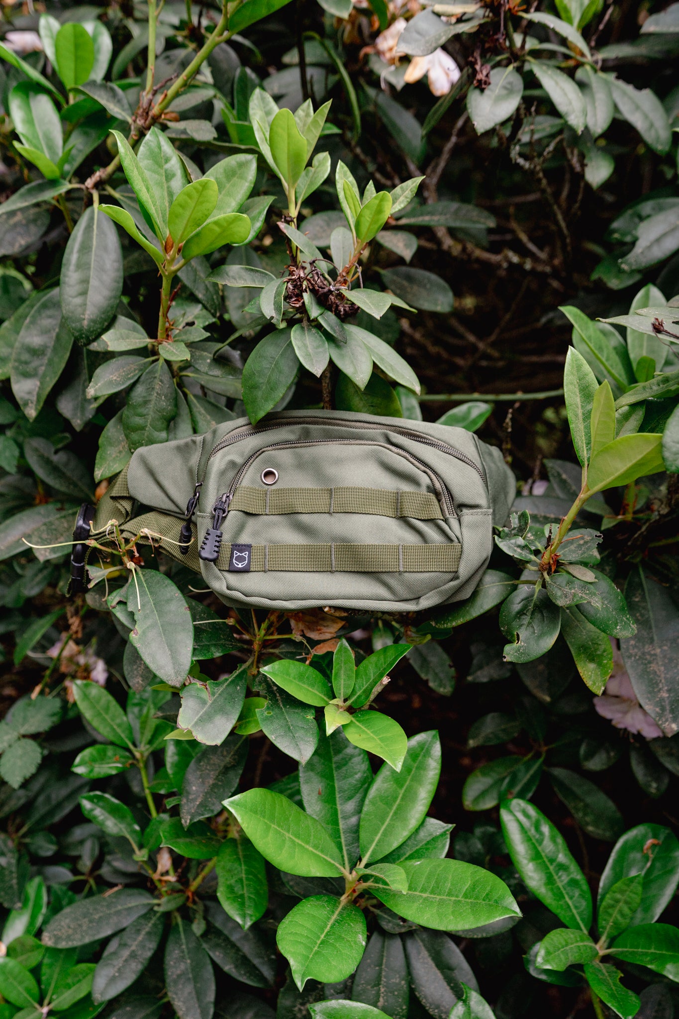 ADVENTURE PACK | Litto Howler