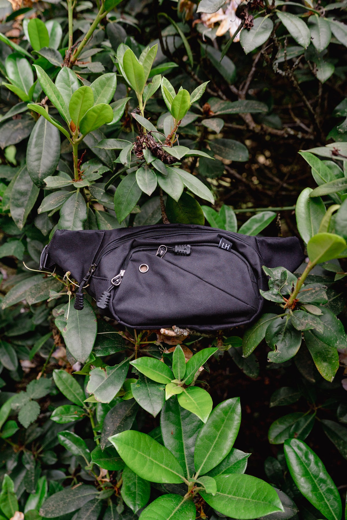 CITY PACK | Litto Howler