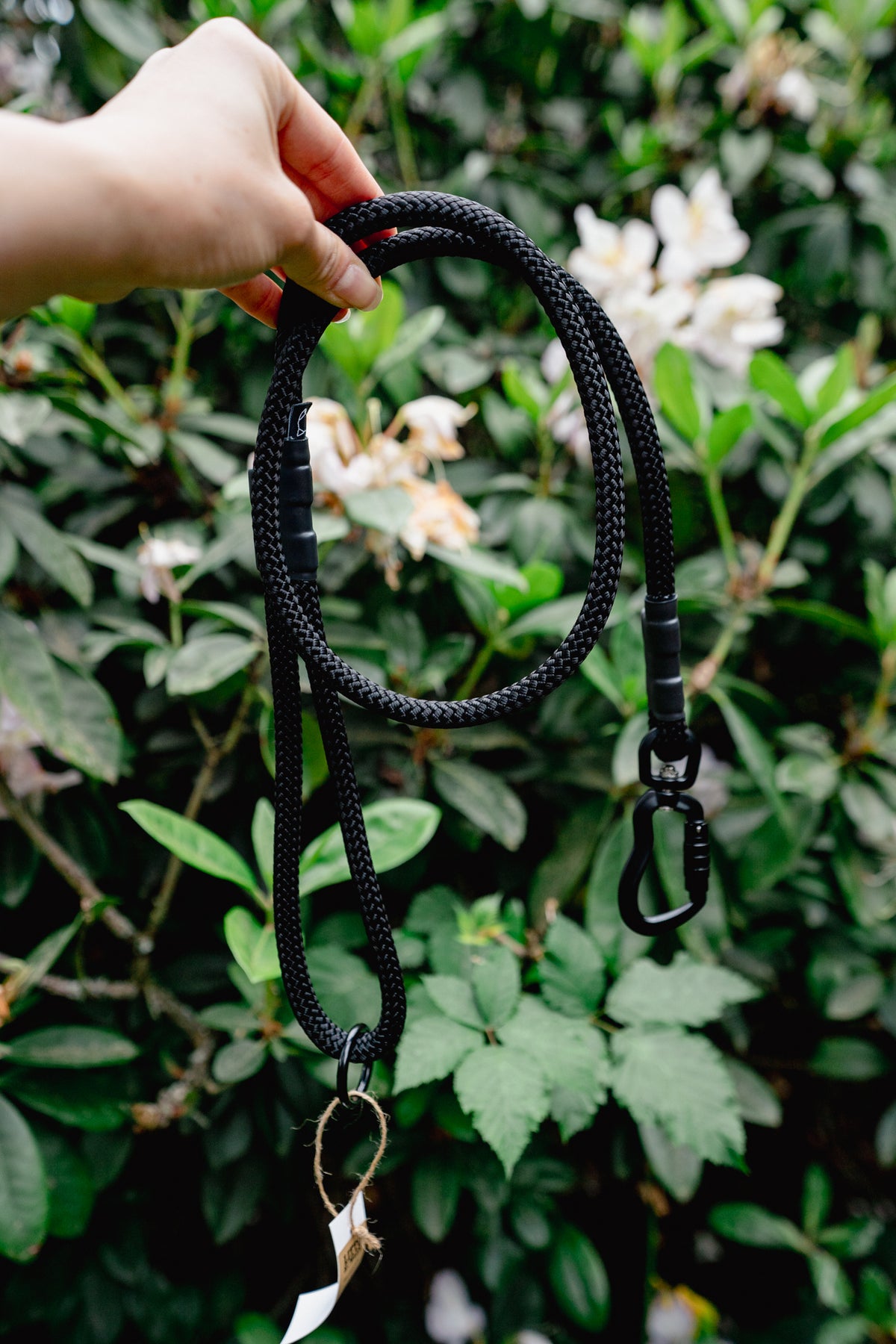 EKKO LEASH 7 + 8 mm | Litto Howler