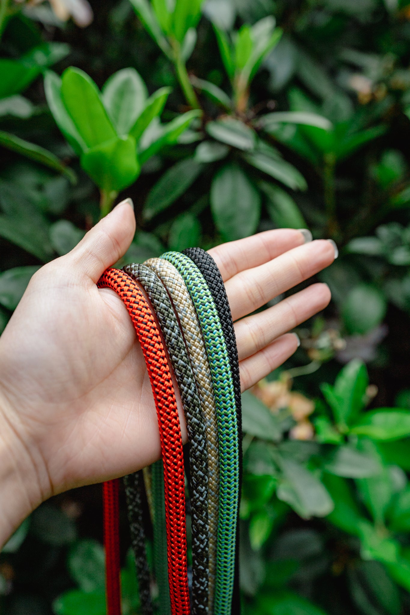 EKKO LEASH 7 + 8 mm | Litto Howler