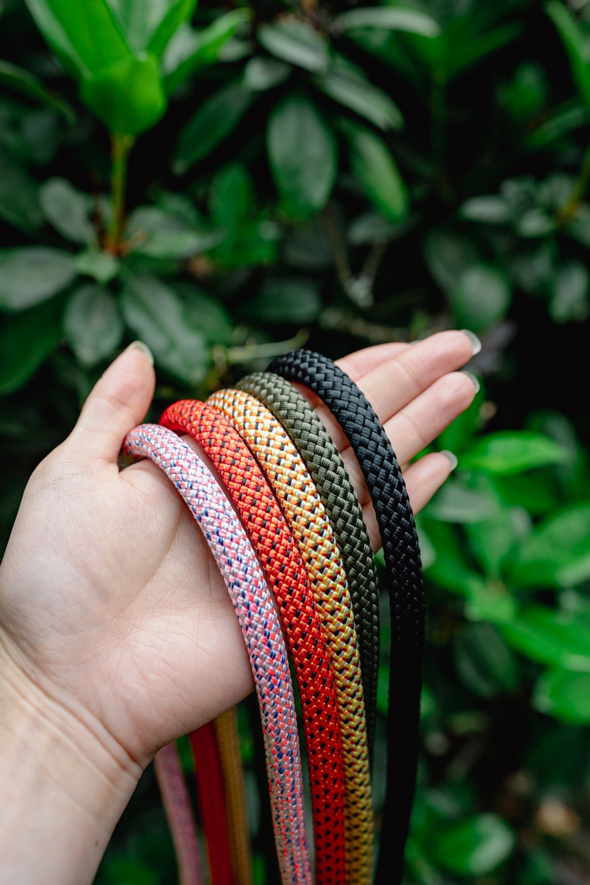 EKKO LEASH 9 + 10 mm | Litto Howler