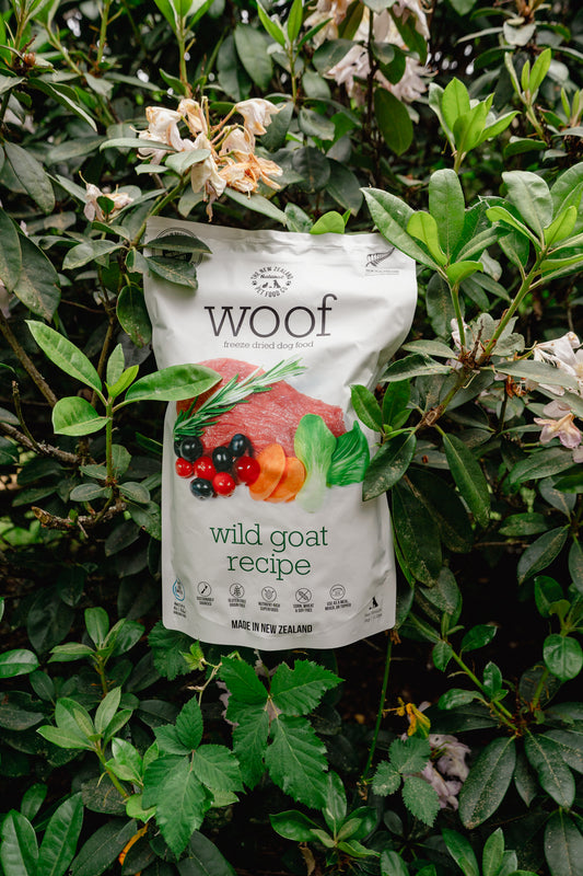 WILD GOAT freeze-dried dog food | New Zealand Natural