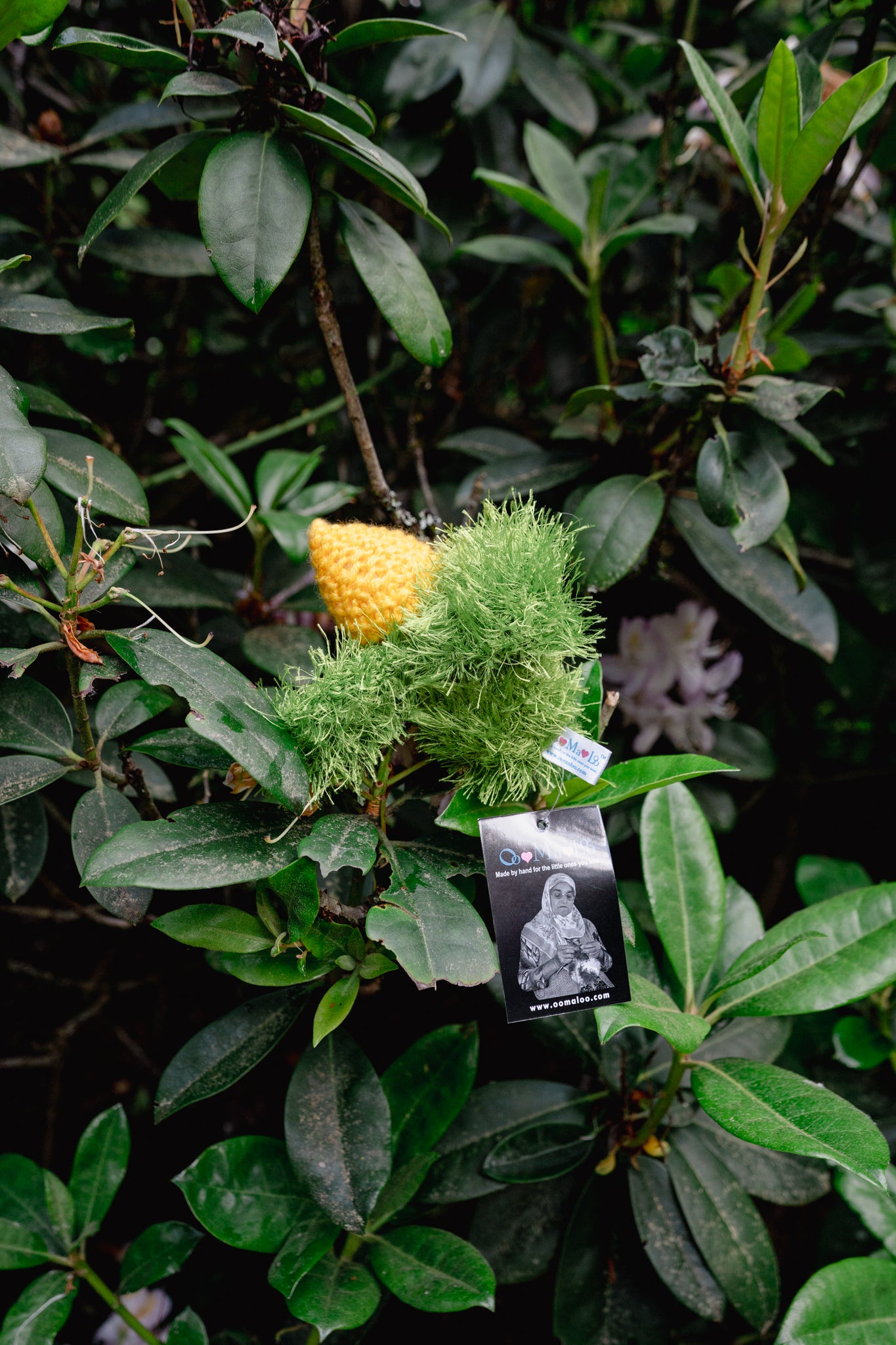 CORN | OoMaLoo Pet Toy