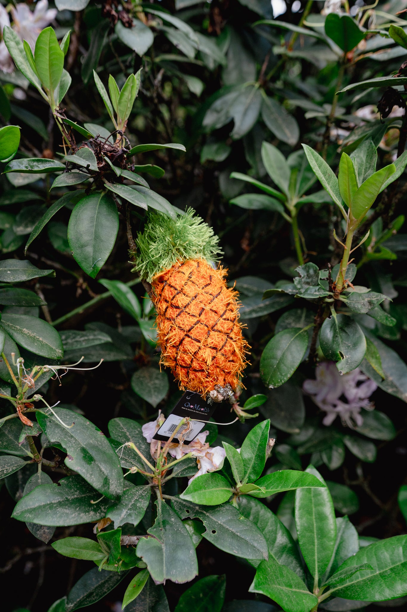 PINEAPPLE | OoMaLoo Pet Toy