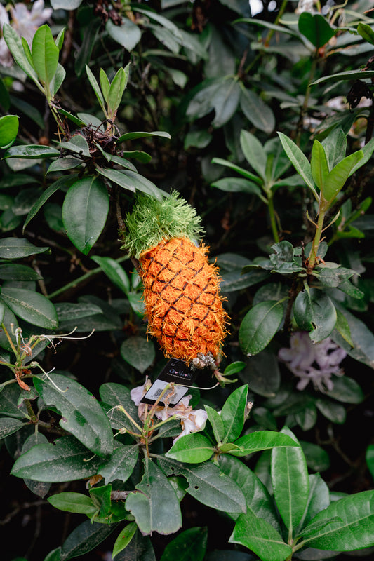 PINEAPPLE | OoMaLoo Pet Toy