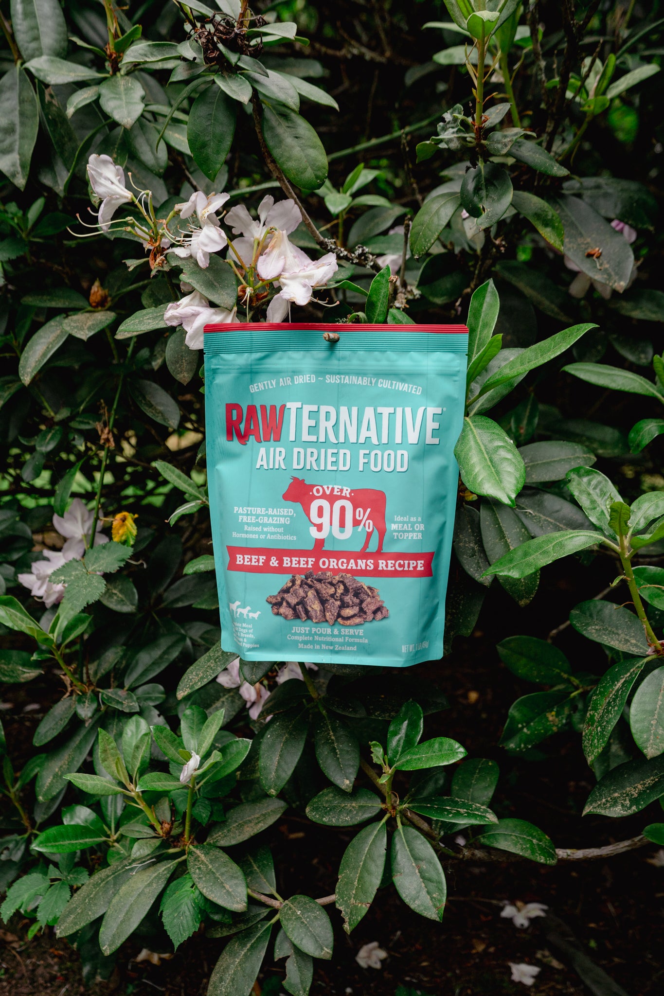 BEEF air-dried dog food | RawTernative