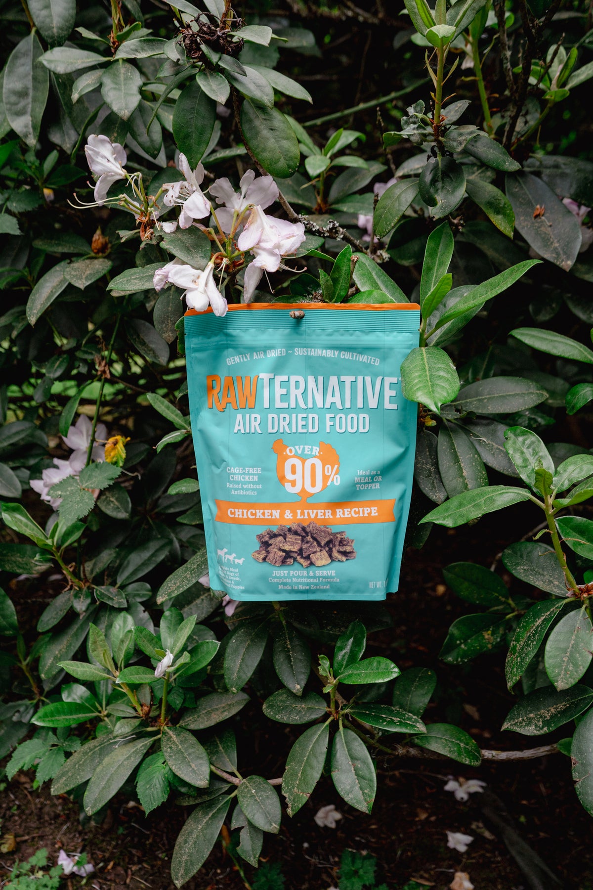 CHICKEN air-dried dog food | RawTernative