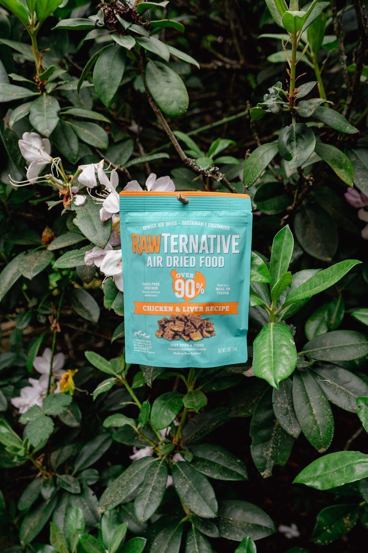 CHICKEN air-dried dog food | RawTernative