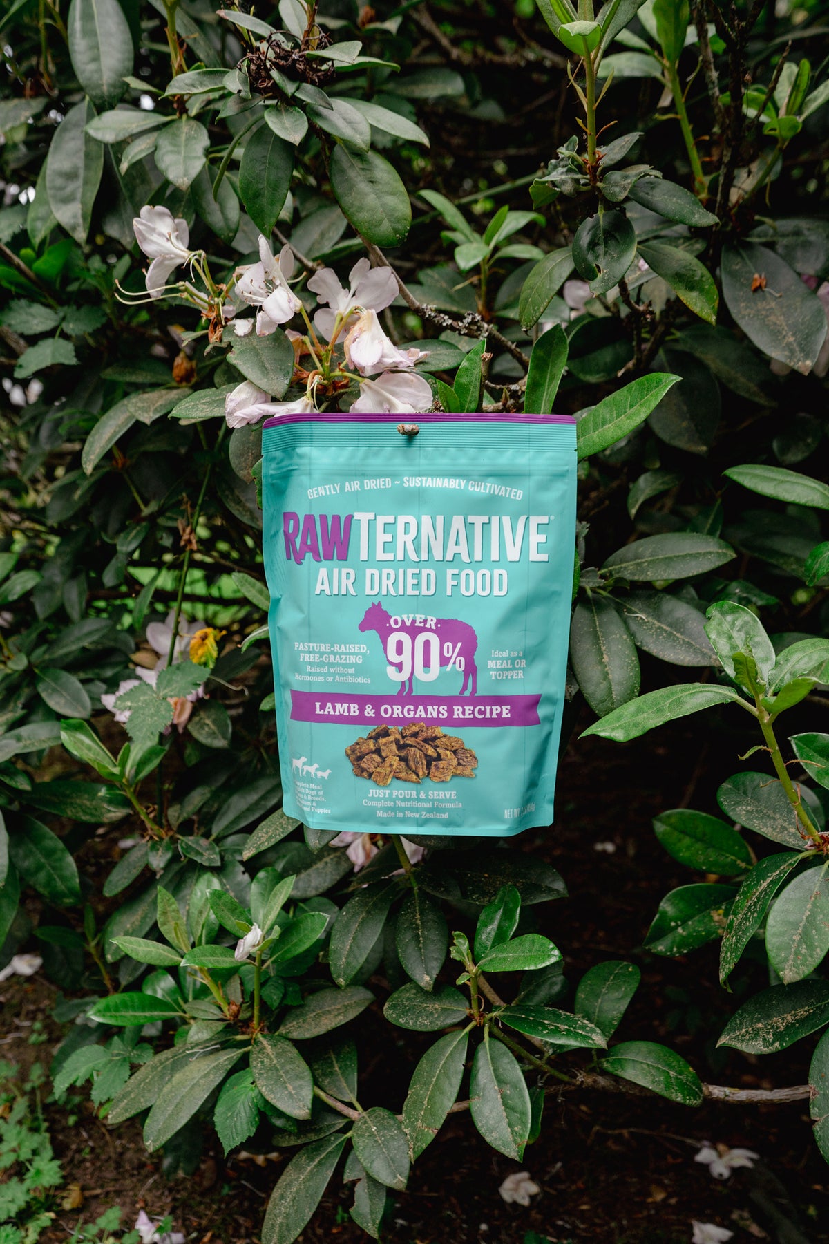 LAMB air-dried dog food | RawTernative