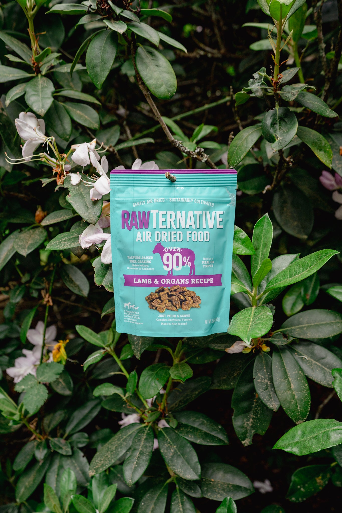 LAMB air-dried dog food | RawTernative