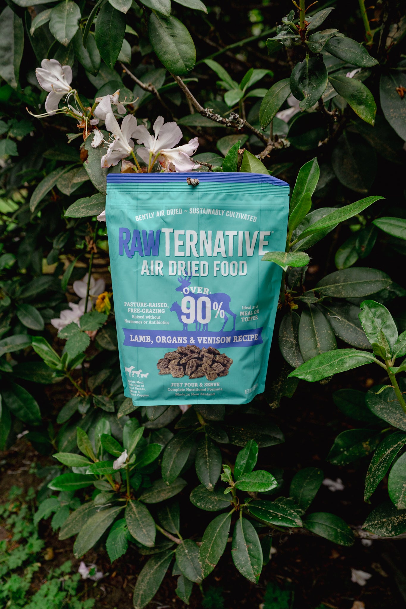 LAMB + VENISON air-dried dog food | RawTernative