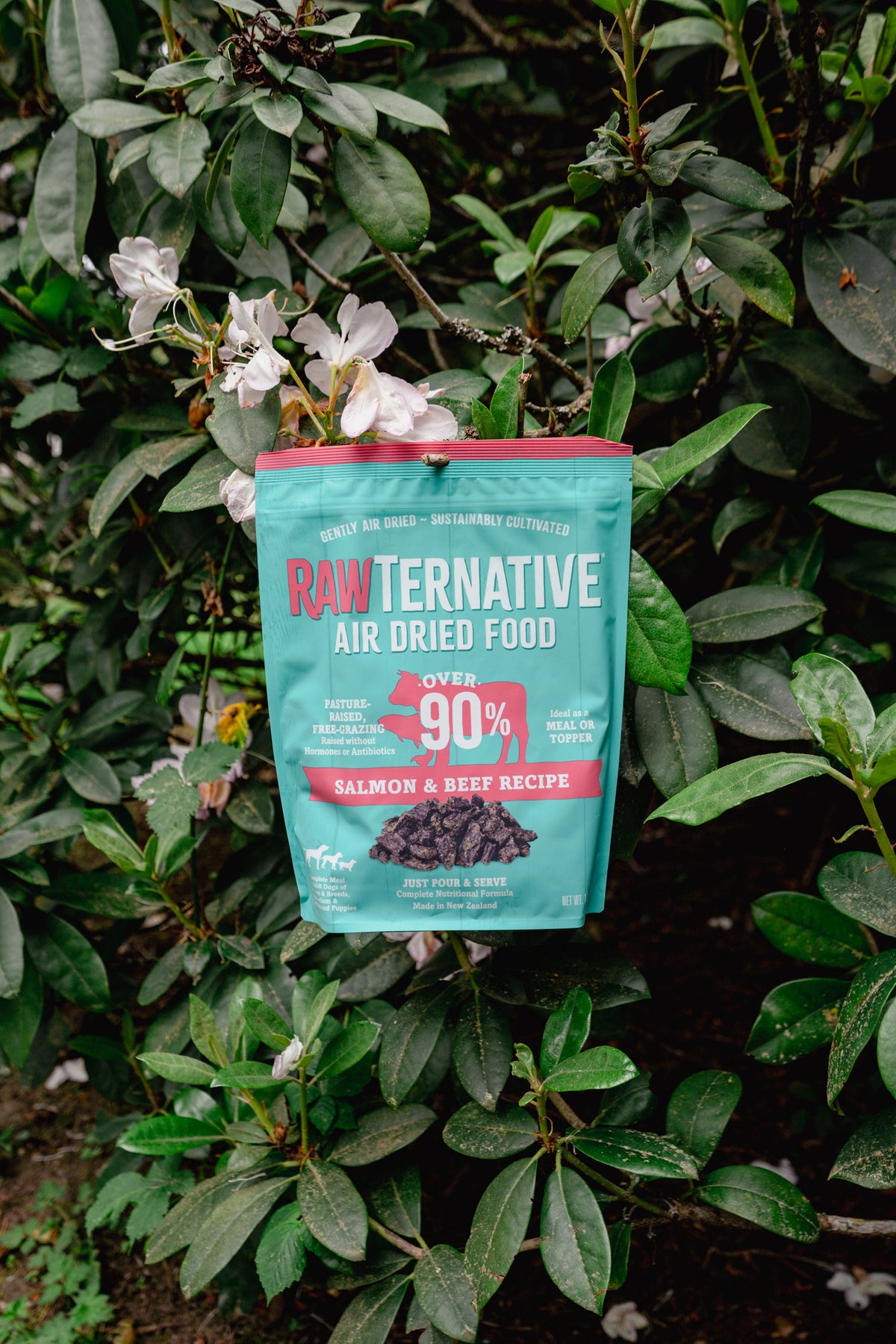 SALMON + BEEF air-dried dog food | RawTernative
