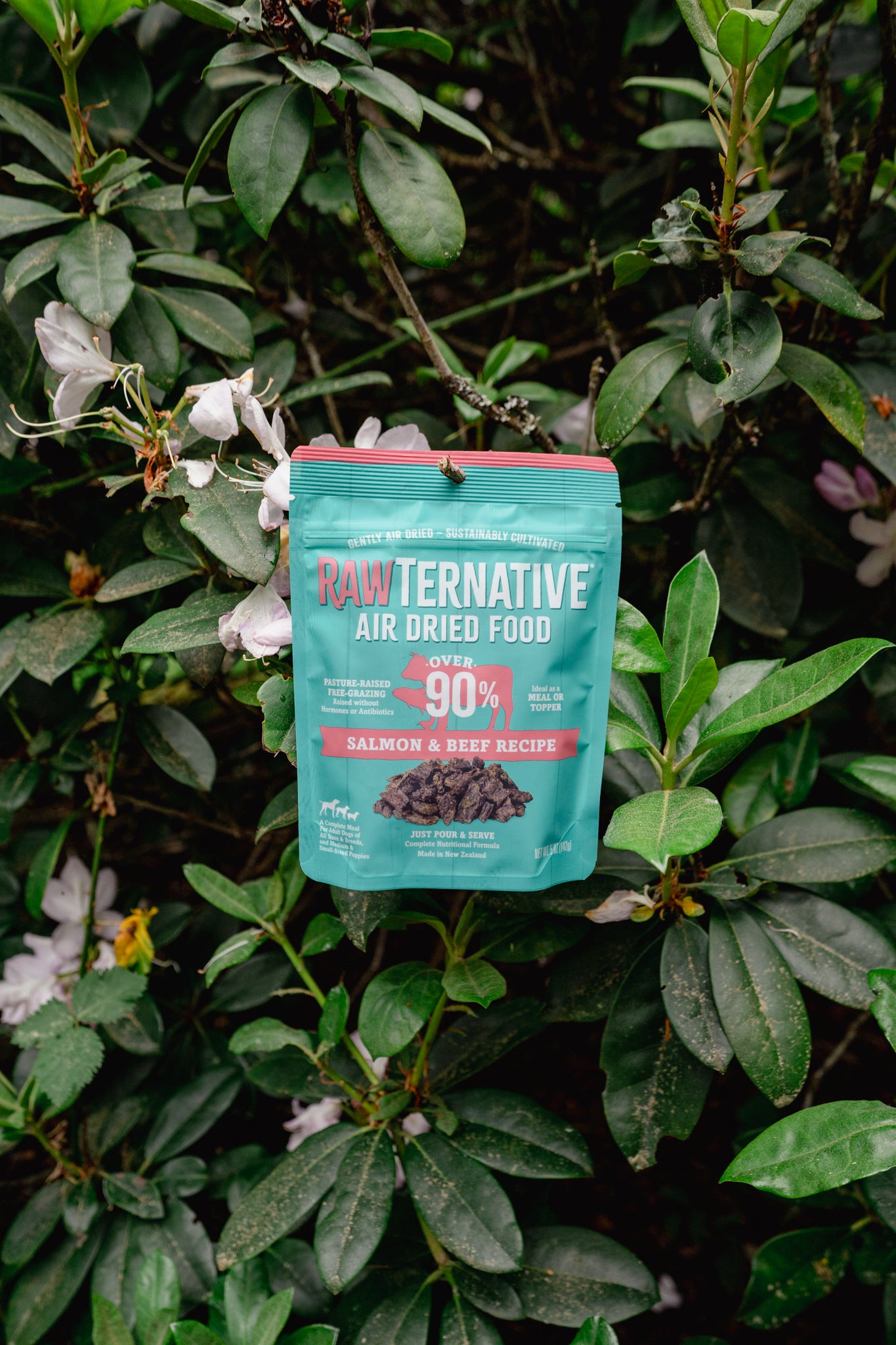 SALMON + BEEF air-dried dog food | RawTernative