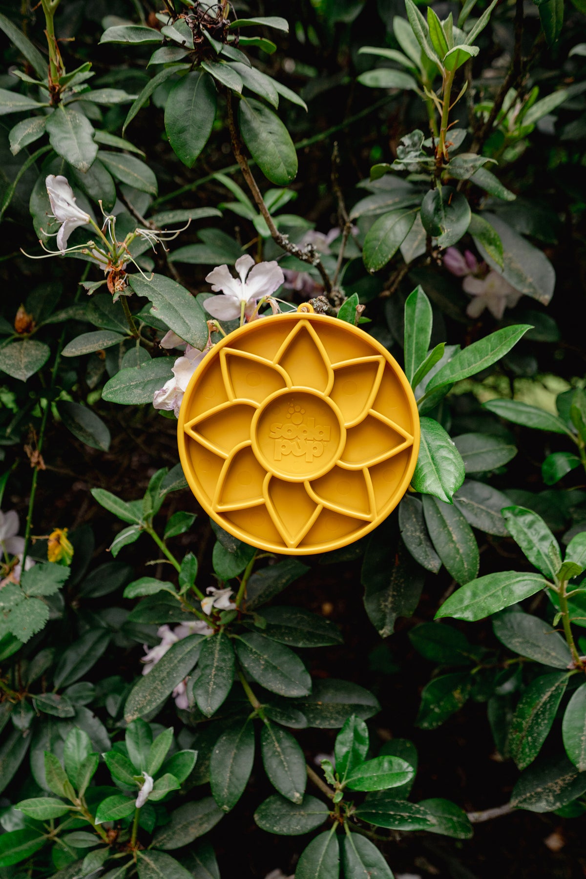SUNFLOWER eTRAY shallow slow feeder | Soda Pup