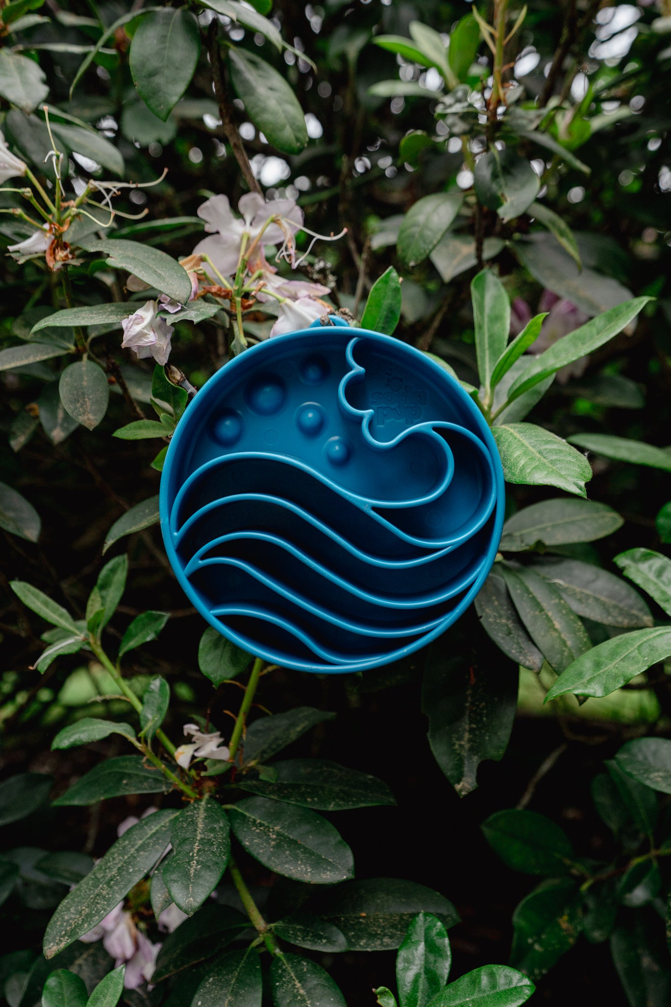 WAVE eBOWL deep slow feeder | Soda Pup