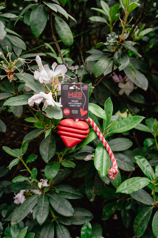 HEART ON A STRING DOG TOY | Soda Pup
