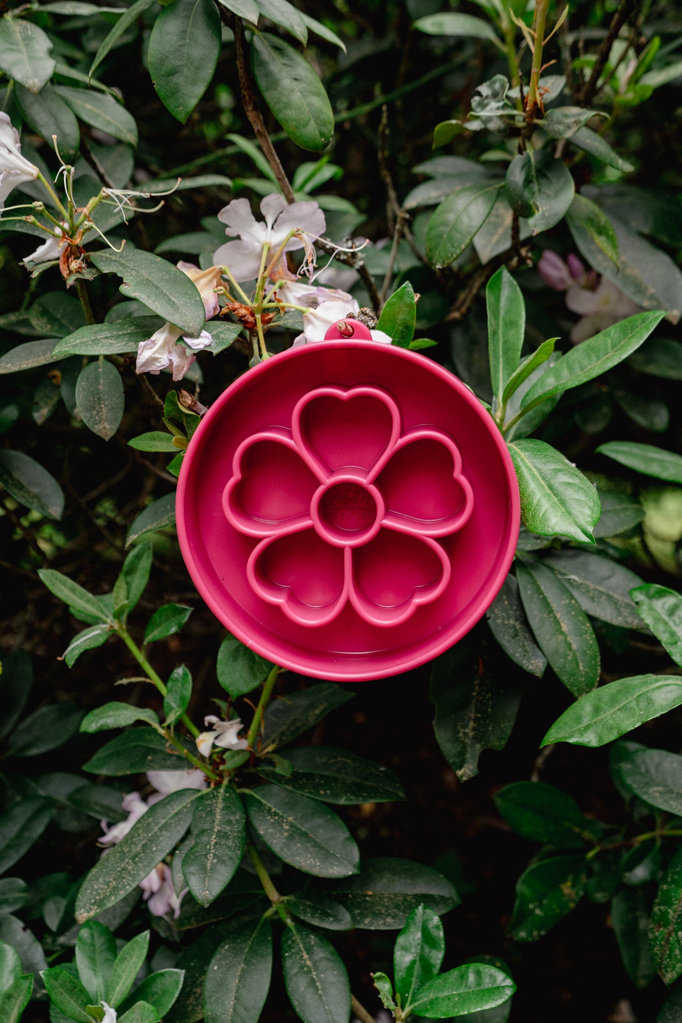FLOWER eBOWL deep slow feeder | Soda Pup