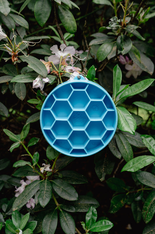 HONEYCOMB eBOWL deep slow feeder | Soda Pup