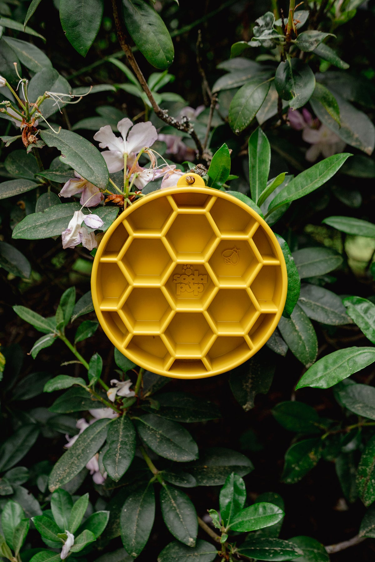 HONEYCOMB eBOWL deep slow feeder | Soda Pup