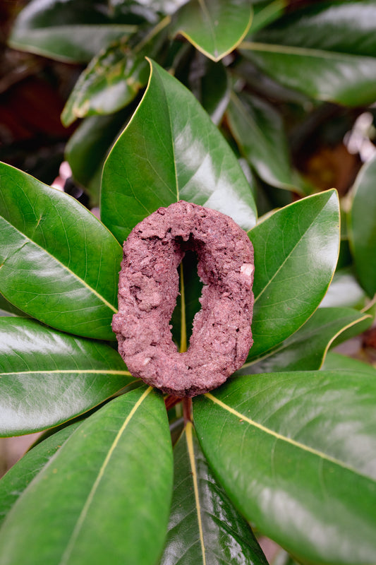 MEAT NUMBER | Freeze-Dried Dog + Cat Treat