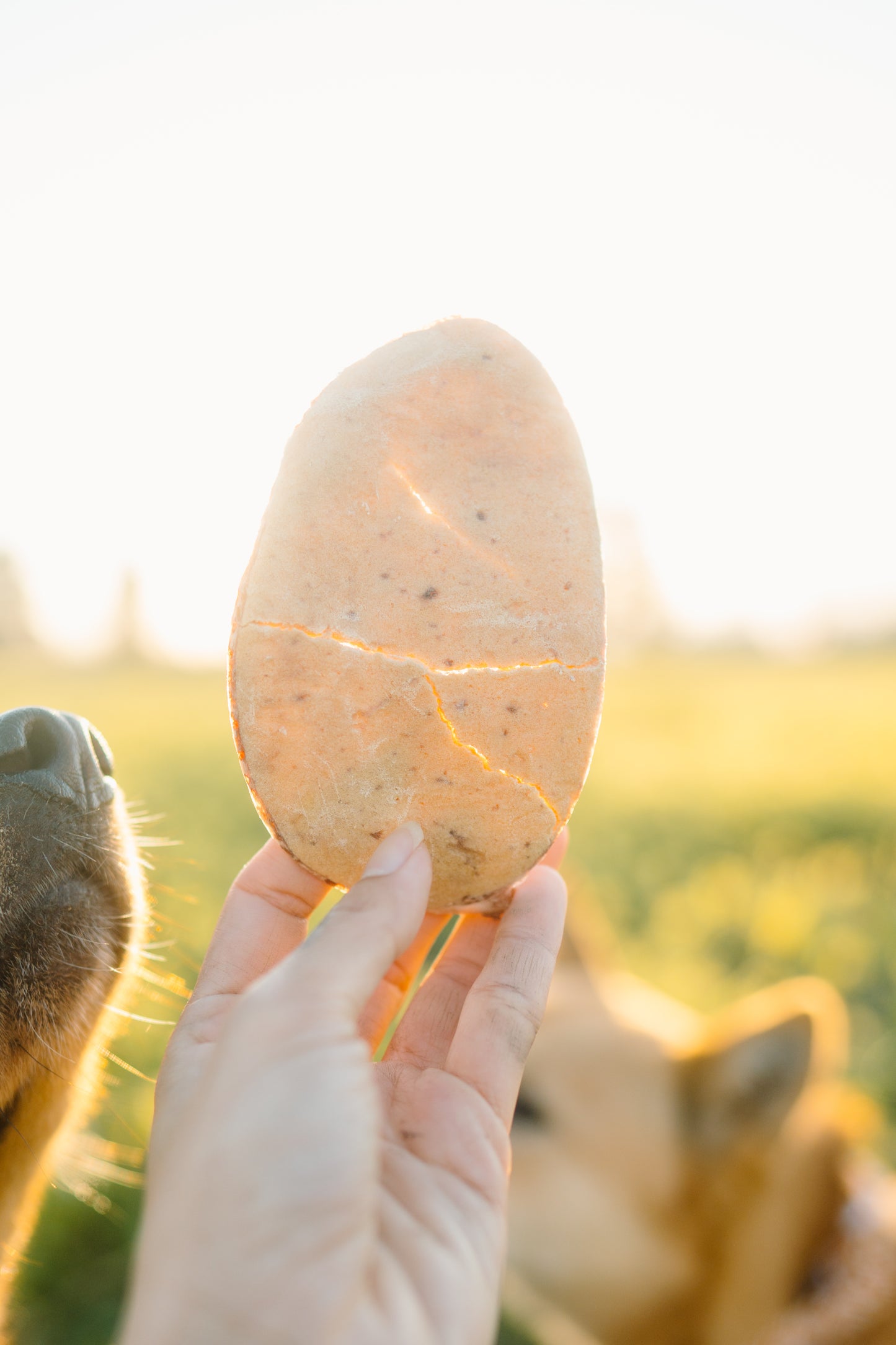 BEEF TESTICLES | Freeze-Dried Dog + Cat Treat