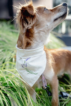 Load image into Gallery viewer, Lavender Dream *FUNDRAISER* | Bandana
