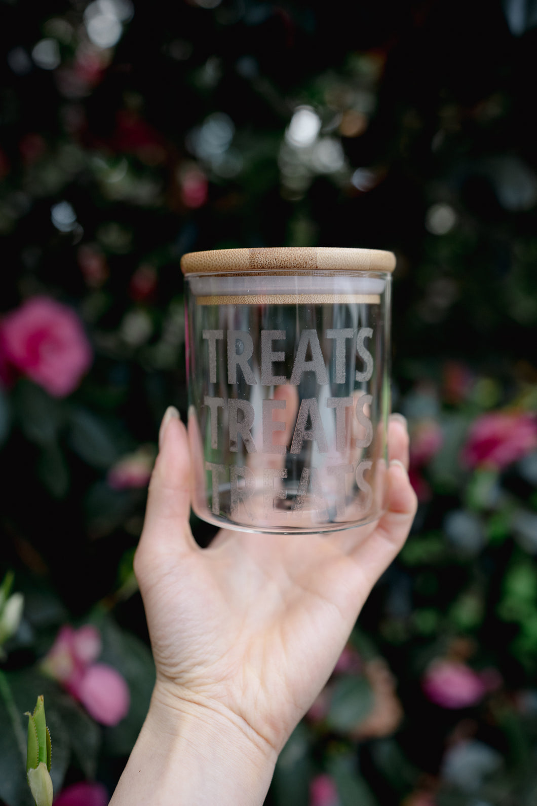 TREATS TREATS TREATS | Treat Jar