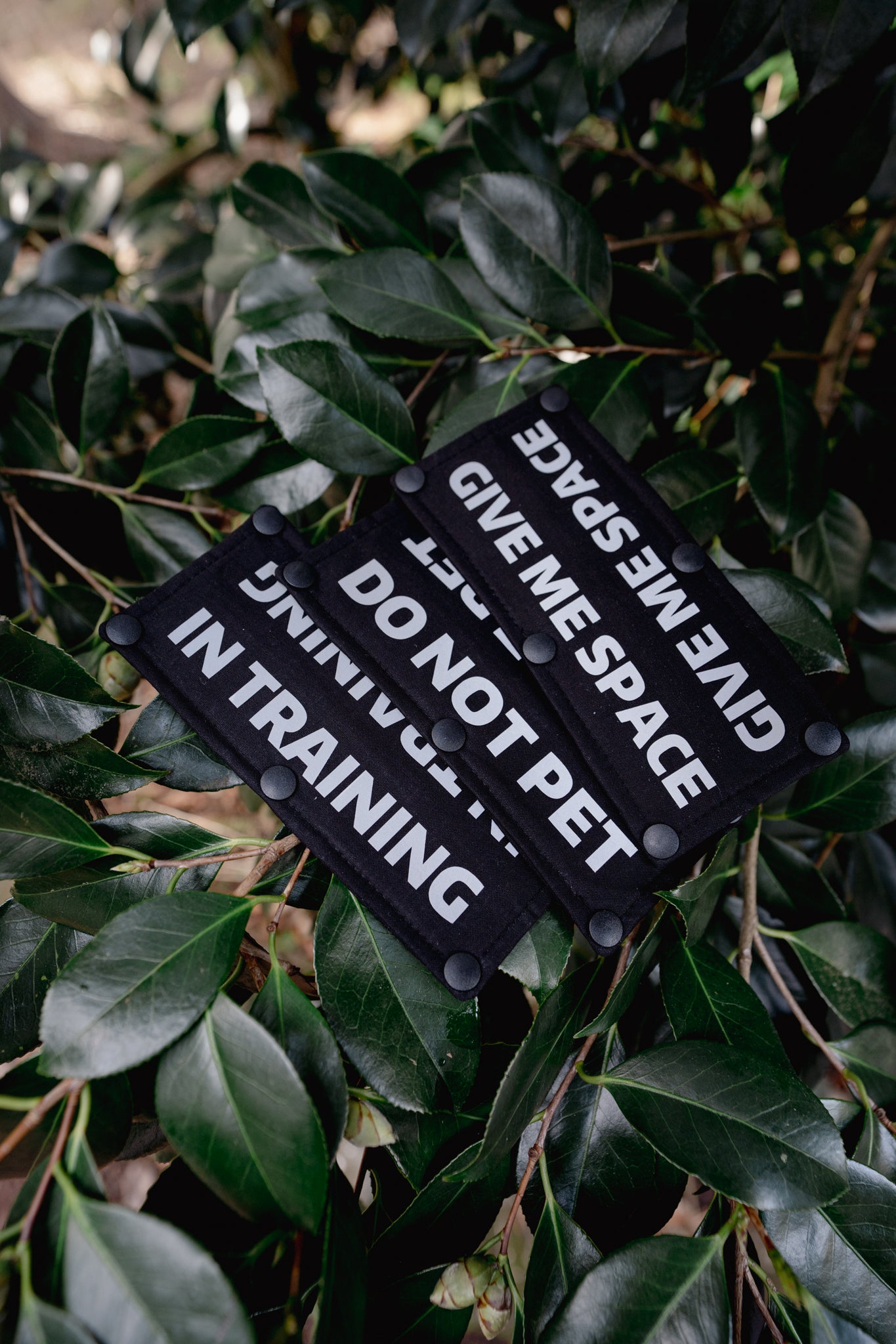 Reflective Text *CUSTOM* | Leash Wrap