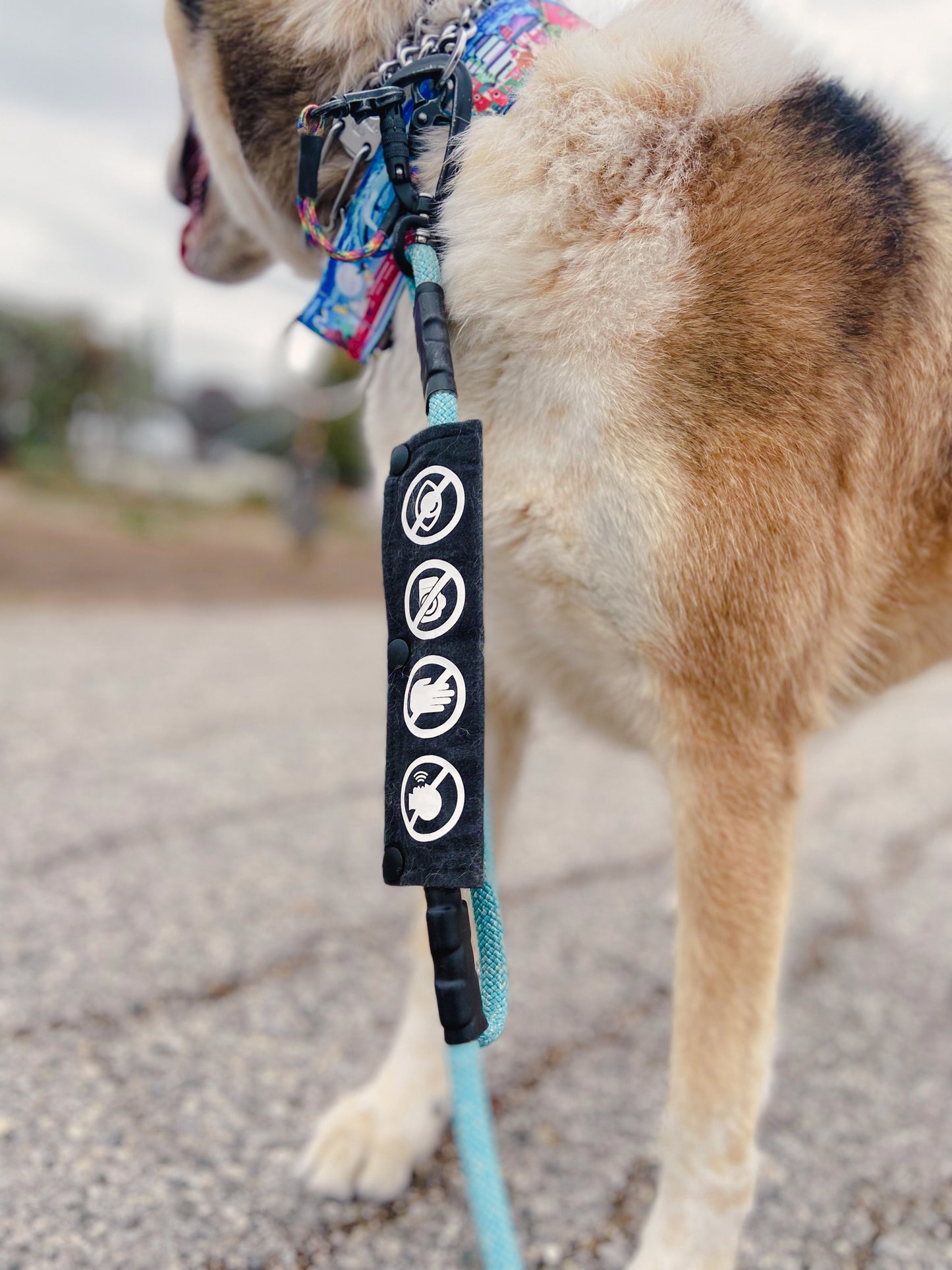 *CUSTOM* | Vinyl Leash Wrap